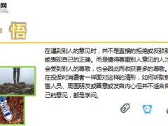 每日保险故事鞋带儿6页.ppt