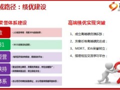 2017年个险开门红工作总结暨全年发展规划42页.ppt