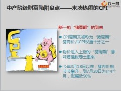 太平盛世连年客户群体特征与需求分析34页.ppt
