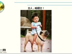 每日快乐早会17年3月15日使用15页.ppt