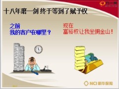 新华赋予权让我拥有寿险金饭碗工作分享22页.ppt