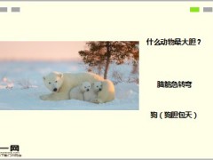 每日快乐早会17年3月17日使用15页.ppt