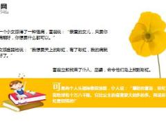 每日保险故事彩虹不止一个8页.ppt