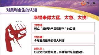 保险产品推动工作汇报新华美利金生版17页.ppt