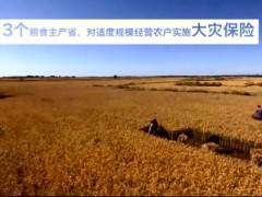 视频2017政府工作报告之保险关键词.rar