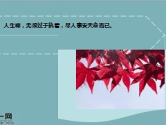 每日鸡汤2017年最幸福的活法.rar