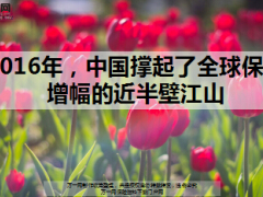 2016年中国撑起了全球保费增幅的近半壁江山12页.ppt