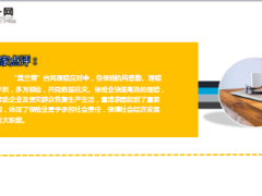2016年度中国最具代表性十大风险管理案例财产险23页.ppt