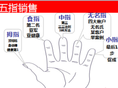 健康险五指销售流程话术太平金无忧版40页.ppt