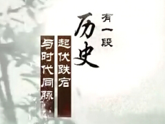 视频中国人寿宣传片.rar