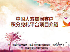 中国人寿集团客户积分兑礼平台项目介绍35页.ppt