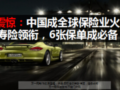 法媒震惊中国成全球保险业火车头寿险领衔6张保单成必备13页.ppt