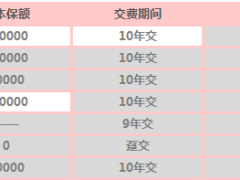 泰康乐福健康综合保障计划加附加险计划书2页.xls