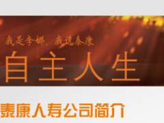泰康乐宜保障计划建议书2页.xls