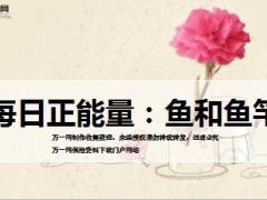 每日正能量鱼和鱼竿9页.ppt