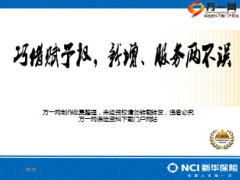 增老客户之巧借新华赋予权新增服务两不误13页.ppt