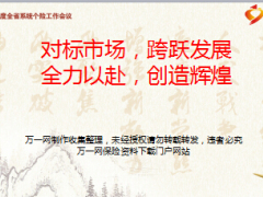 优秀支公司建设背景举措工作汇报48页.ppt