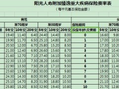 阳光人寿附加臻逸重大疾病保险费率表1页.xls