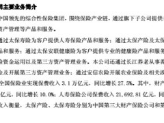 中国太保2016年年度报告摘要.rar