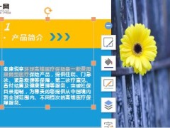 泰康高端医疗悦享环球产品介绍13页.ppt