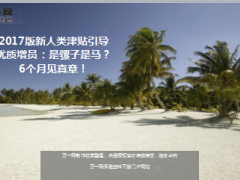 2017年国寿C版营销基本法新人津贴解读8页.ppt
