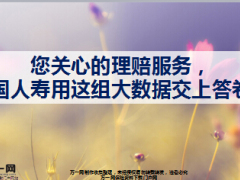 中国人寿2016理赔服务大数据截图形式28页.ppt