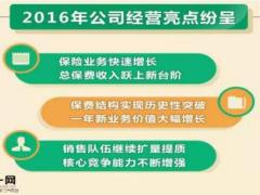 图解中国人寿2016年报经营业绩截图24页.ppt