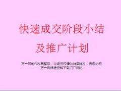 快速成交项目阶段小结及推广计划37页.ppt