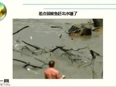 每日快乐早会17年4月5日使用15页.ppt