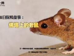 每日保险故事佛塔上的老鼠7页.ppt