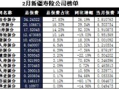 新疆2017年前2月寿险公司总保费排行榜.xls