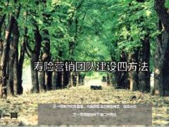 寿险营销团队建设四方法20页.ppt