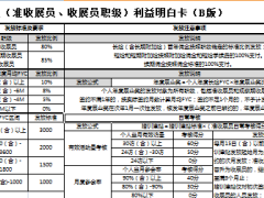 中国人寿收展基本法利益明白卡B版6页.xls