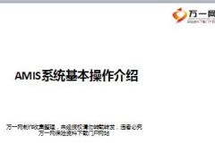 国寿AMIS系统基本操作介绍49页.ppt