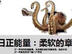 每日正能量柔软的章鱼10页.ppt