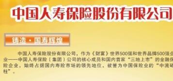 中国人寿国寿福至尊版折页10页.rar