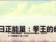 每日正能量拳王的幽默7页.ppt