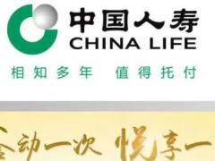 中国人寿鑫动一次悦享一生挂旗展板易拉宝.rar