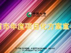个险省市年度项目化方案宣导国寿版56页.ppt