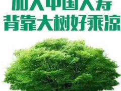 2017中国人寿增员海报9页.rar