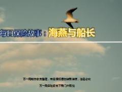 每日保险故事海燕与船长6页.ppt