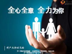 泰康全心全意保障计划产品推动思路传承总结54页.ppt