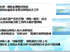 17年04月15日保险快讯11页.ppt