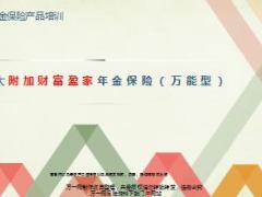 英大附加财富盈家年金保险万能型产品介绍11页.ppt
