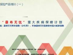 英大康寿无忧重大疾病保障计划分红型产品介绍17页.ppt
