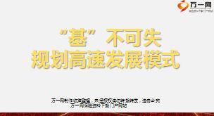 揭秘基本法规划高速发展模式太平版48页.ppt