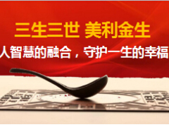 2017养老产说会新华美利金生32页.ppt