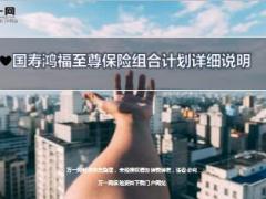 国寿鸿福至尊保险组合计划详细说明11页.ppt