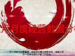 五月月度经营数据分析模板国寿版53页.ppt