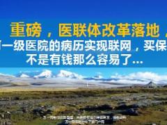 医联体改革一级医院的病历实现联网买保险没那么容易了19页.ppt